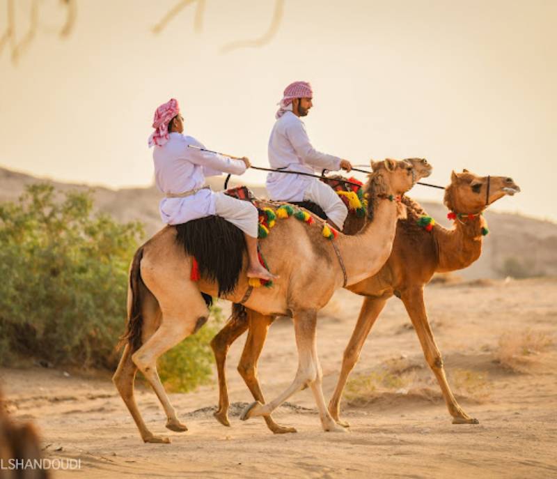 Al Dhahirah Tourism Festival
