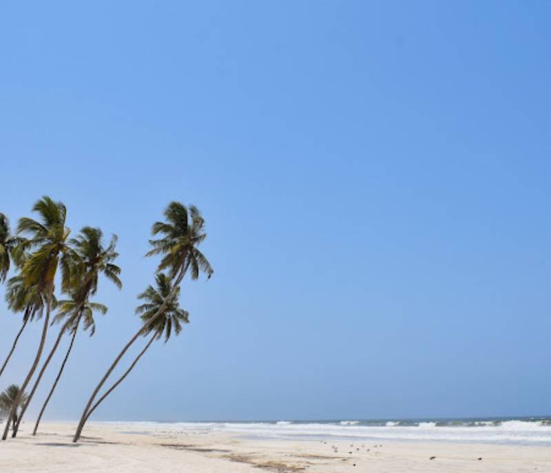 Coconut beach
