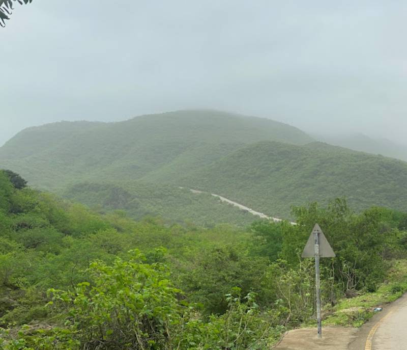 Dhalkut Forest