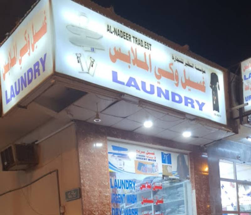 Falcon washing and ironing clothes
