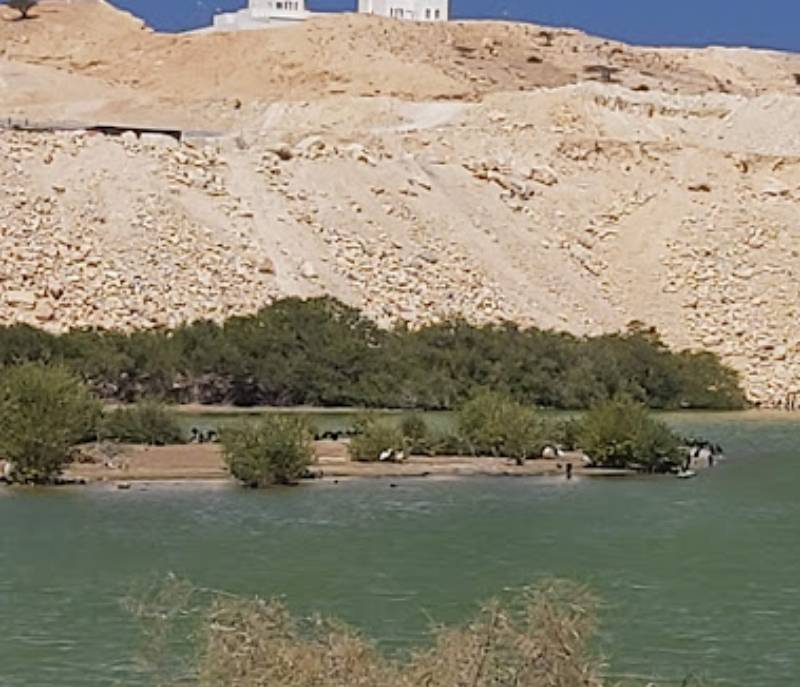 Flamingo lake