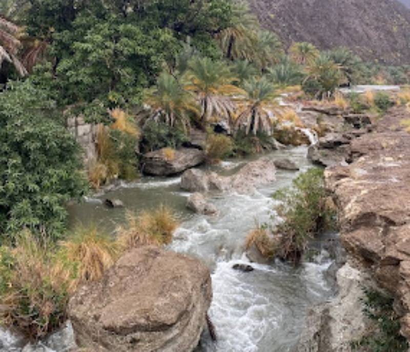 Wadi Aljazirih