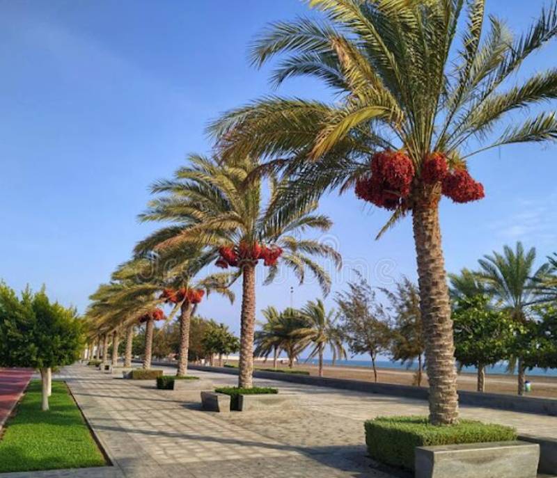 Seeb Beach Park