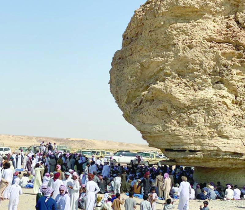 Shrewt rock