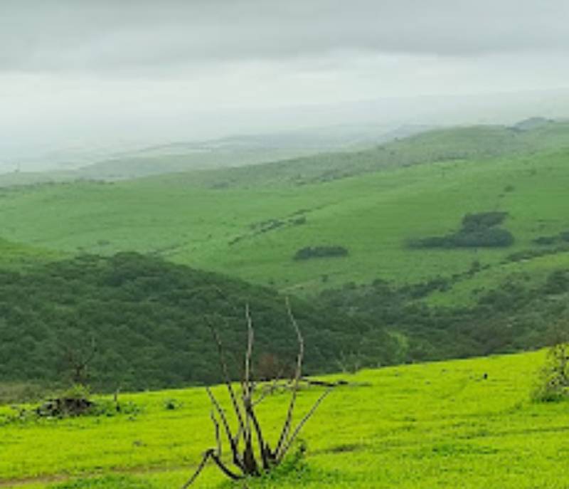 The beautiful Alsan hill