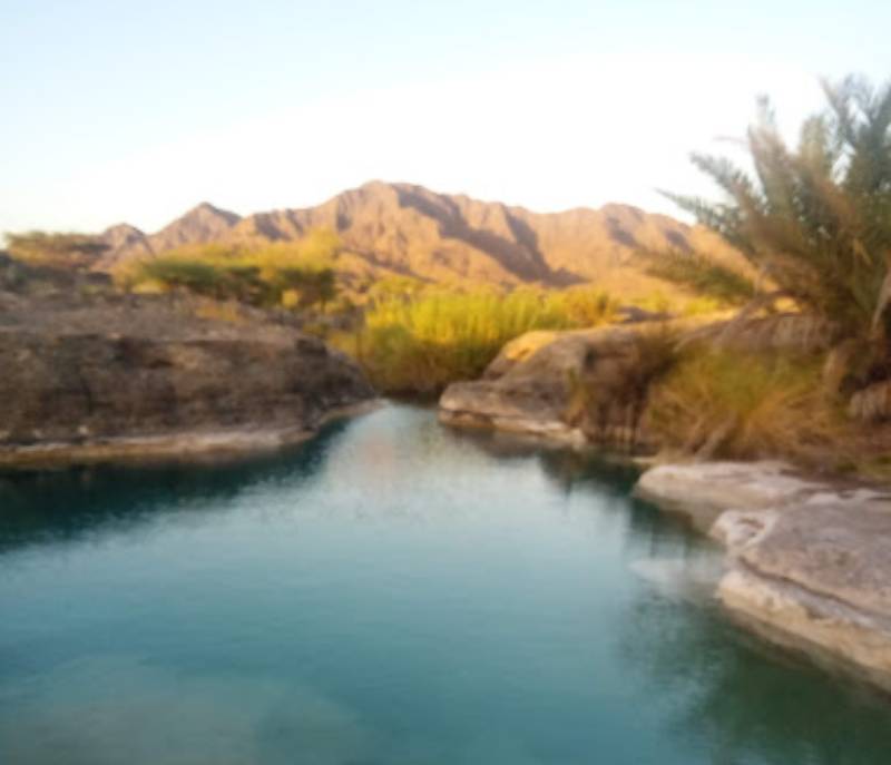 Wadi Animal Dam