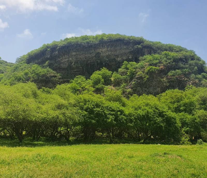 Wadi Arabot