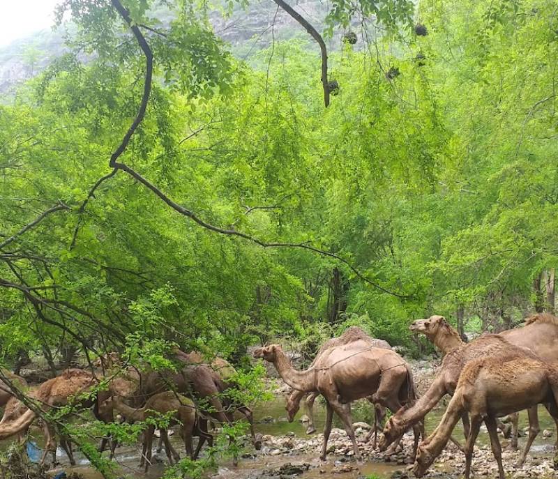 Wadi Kheshem