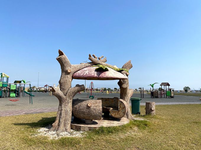 A photograph of Liwa Public Park