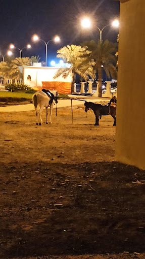 A photograph of Liwa Public Park