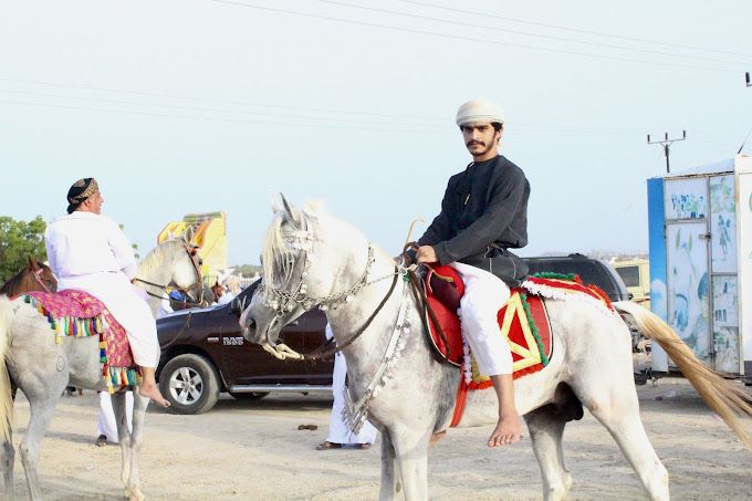 A photograph of Liwa Public Park