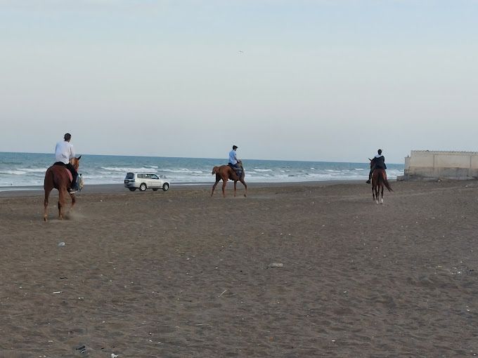 صورة لـ Silver Jubilee Park (Ain Sohar).