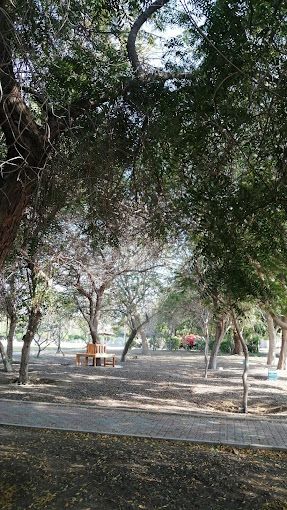 A photograph of Shinas Public Park