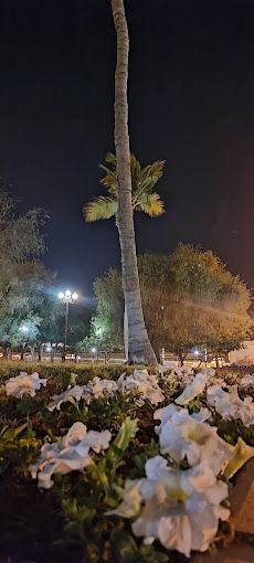 A photograph of Shinas Public Park