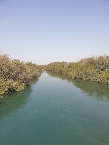 A photograph of Qurum Natural Park