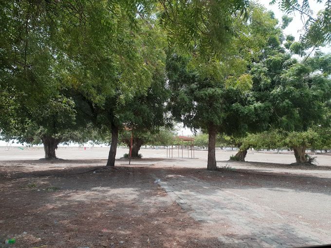A photograph of Qurum Natural Park