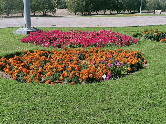 A photograph of Al-Saqr Park