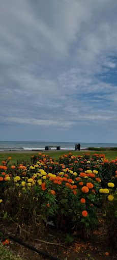 A photograph of Al-Saqr Park
