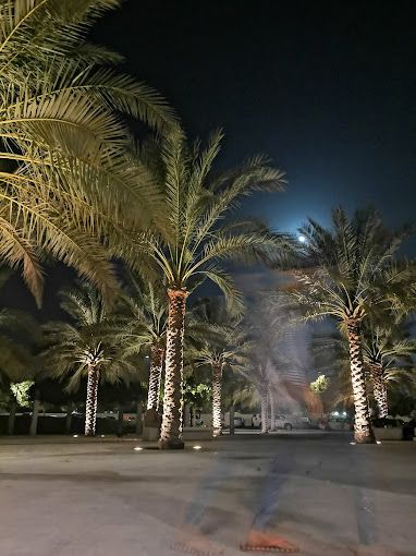 A photograph of Seeb Beach Park