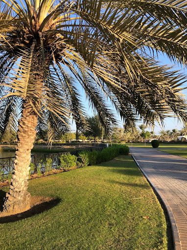 A photograph of Qurayyat Lake Park