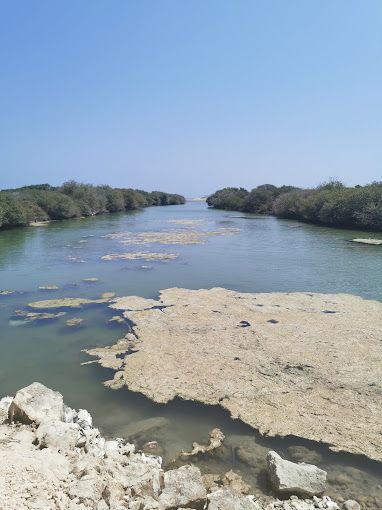 A photograph of Flamingo lake