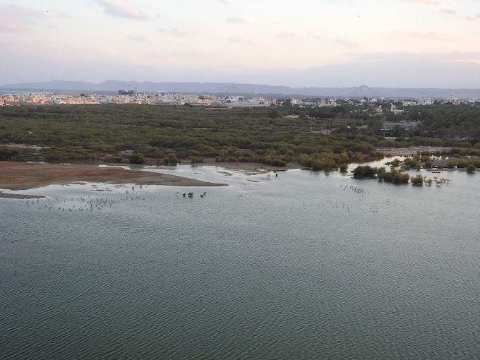 A photograph of Flamingo lake