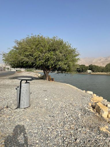 A photograph of Flamingo lake