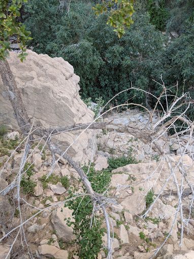 A photograph of Hanging Gardens Hike