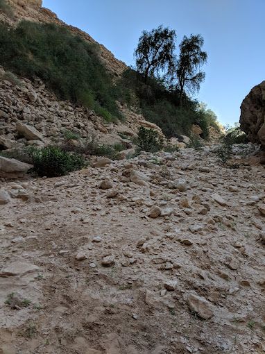 A photograph of Hanging Gardens Hike