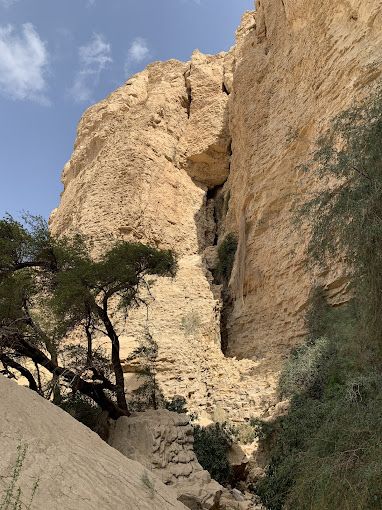 A photograph of Hanging Gardens Hike