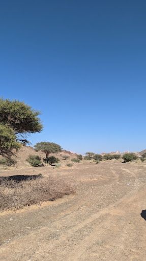 A photograph of Seih al-Dhaisah