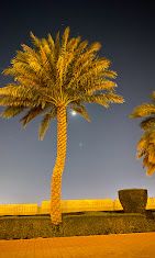 A photograph of Oasis Park