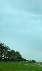 A photograph of Oasis Park