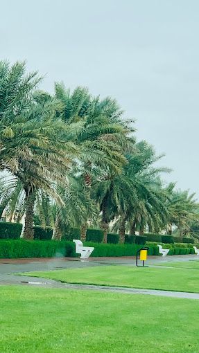 A photograph of Oasis Park