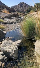 A photograph of Wadi Aljazirih