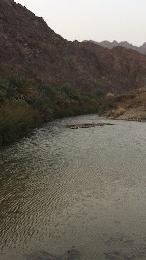 A photograph of Wadi Aljazirih