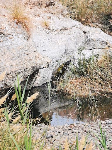 A photograph of Falaj of Wadi Al-Khatwa (Al-Qubeil)