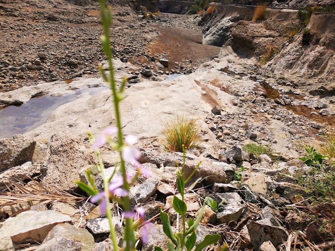 A photograph of Falaj of Wadi Al-Khatwa (Al-Qubeil)