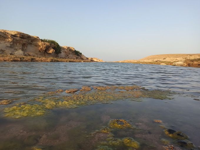 A photograph of Dhalkut Forest