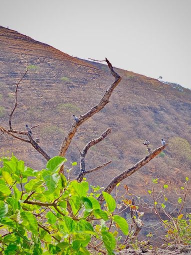 A photograph of Ain Sherat