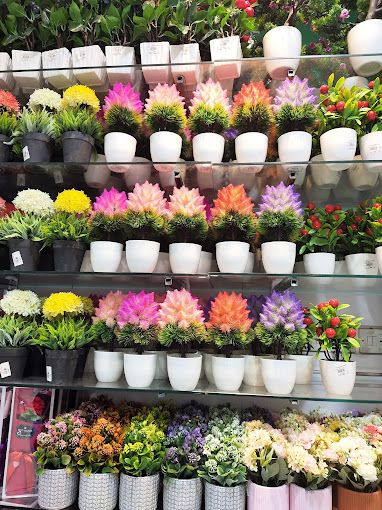 A photograph of Famous Markets