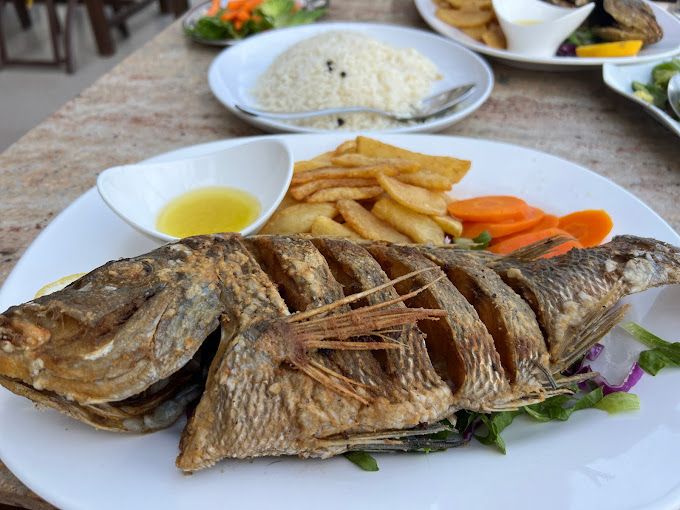 A photograph of Baalbek Lebanese Restaurant
