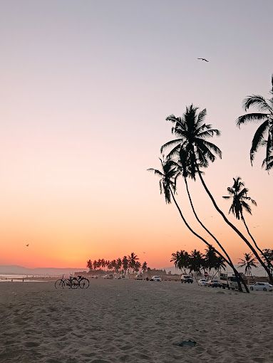 A photograph of Coconut beach