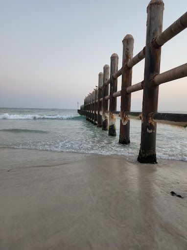 A photograph of Coconut beach