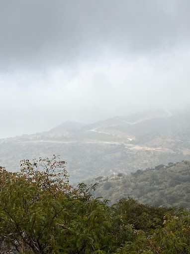 A photograph of Serfit view