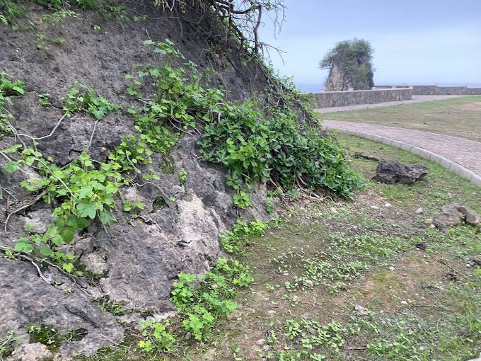A photograph of Dhalkut Park