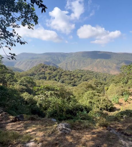 A photograph of Ain Minhal