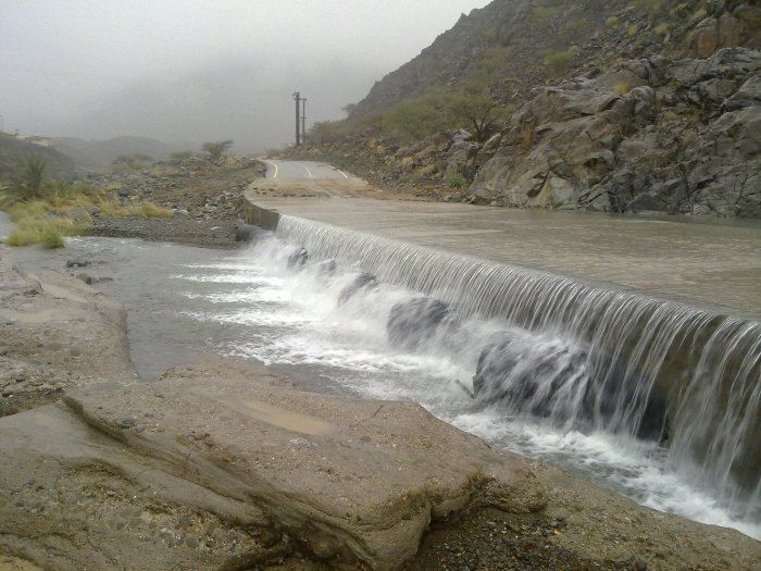 A photograph of Whdi Hibi