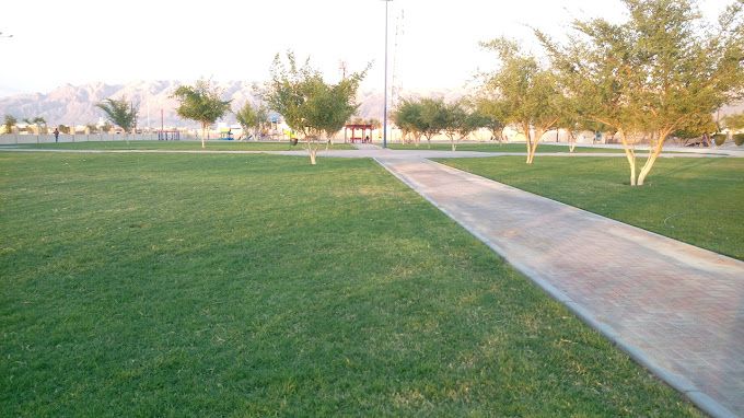 صورة لـ Dhank Municipal Park