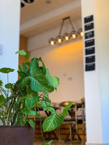 A photograph of Kaff Cafe